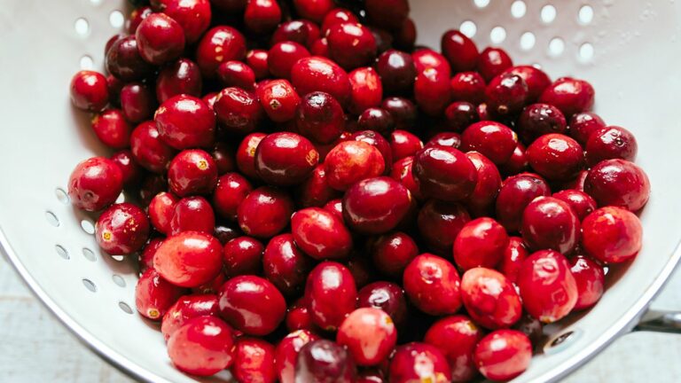 Cranberries 101: Nutrition Facts and Health Benefits